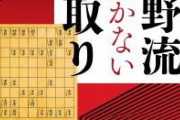 【地獄】秋葉に福袋買いに行ったら将棋倒しに遭遇した