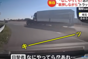 【埼玉】「なにやってら! あれ...」“車押しながら”トラック暴走