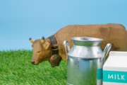 【国産牛乳危機】なんで牛乳飲まなくなったの？？？