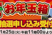 ヨドバシカメラ､福袋｢2026年 夢のお年玉箱｣の抽選申し込み受付を11月25日11時から開始