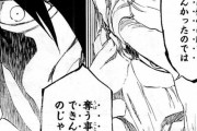 【BLEACH】儂の卍解、ユーハバッハに奪われる・・・・・