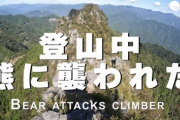 【閲覧注意】秩父で登山してた男性、崖上り中にクマに襲われる→