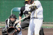 阪神大山がシート打撃で特大の一発！　馬場の変化球を会心打