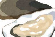 生食以外で牡蠣のいちばん美味い食べ方ってなんだろうか……？