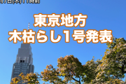 【速報】東京で『木枯らし1号』吹く
