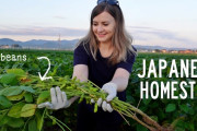 海外「こういう日本を見るのが好き…！」山形県で農泊！だだちゃ豆の収穫体験を紹介した動画に興味津々