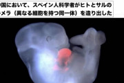 【画像】人間とサルの生物が誕生してしまう・・・・・・・