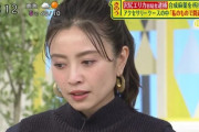 【悲報】片瀬那奈さんの現在が悲惨すぎる・・・