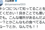 入山杏奈「メキシコについて知ってることを教えてください！」