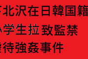下北沢在日韓国籍小学生拉致監禁虐待強姦事件