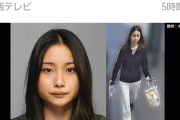 【画像】詐欺で逮捕された女がめちゃくちゃ美人ｗｗｗｗｗｗ