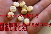 【新型コロナ】感染の男性会社員(35)が証言「若いので大丈夫、甘く見ていた」3月末に千葉のクラブで音楽イベントに参加