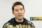 【プロ野球100人分の1位2020変化球部門】日ハム杉谷「モイネロのカーブは7階から落ちてくる」