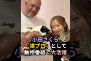 【動画】小田さくら、「猫プロ」として動物番組で大活躍 #ハロプロ #小田さくら #モーニング娘 #嗚呼みんなの動物園 #ラミレス #保護猫 #モーニング娘25 #shorts