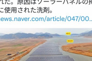 【悲報】ソーラーパネル、環境に悪かった 周辺で魚が大量死