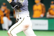 阪神坂本、緊急出場で今季初猛打賞「いつも準備している」