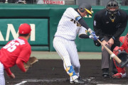 阪神近本光司マルチで順調アピール「個人としてもチームとしても最善の準備」後輩末包の打球好捕