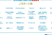 【画像】SNS流行語大賞2024ノミネート語が発表