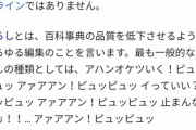 【悲報】ウィキペディア、何者かによって荒らされる…