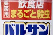 【超絶閲覧注意】ババアのゴキブリ退治、凄すぎる