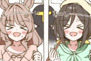 【ウマ娘】やめるのだ。それ以上知るのはダメなのだ…。