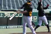 阪神ボーアの独自調整「感覚大事に」予習はほどほど