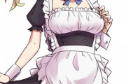 【FGO】メイド衣装のポルクスちゃんイラスト！！　兄さまが卒倒する可愛さだわ！