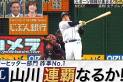 プロ野球選手100人分の1位　パワーヒッター部門2019