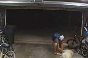 自転車を盗んでいる最中に犬にじゃれつかれ…中断して犬を撫でまくったため防犯カメラにバッチリ映った窃盗犯