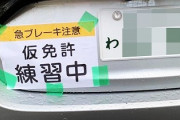 【画像】X民「運転してたら仮免許練習中の車見つけて、思わず三度見した」