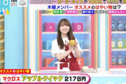【櫻坂46】守屋麗奈、事故ｗｗｗｗ