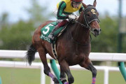 第28回 平安ステークス（GIII）好位追走オーヴェルニュ（福永）直線突き抜けて圧勝！コースレコードで重賞2勝目