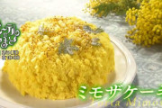 【Eテレ】スポンジケーキ