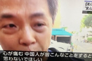 【は？】ツイッター民「中国人にも悲しんでいる人がいる。騒がないで」→6万いいね