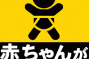 赤ちゃん乗ってます的なステッカー車に貼ってる奴あれなに？