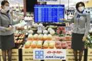 【悲報】ANAの客室乗務員がスーパーの売り子に