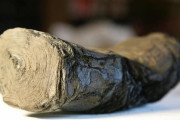 噴火で炭化してしまった古代のパピルスの巻物を最新のAI技術で広げることなく解読する試み（英研究）