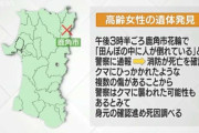 鹿角市の田んぼで倒れている高齢女性の遺体発見　クマが襲ったか
