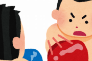 ボクシングの階級多すぎて草ｗｗｗｗｗｗ