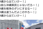 潮目が変わったね　〜　パヨクによる暴力革命を訴えるデモ@沖縄。住民から強い反発「お前ら沖縄県民じゃないだろー！」