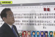 岸田「ええ！？現役与党幹事長が小選挙区で落選してしまったんですか！？」
