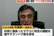 【速報】九大の研究チーム、マウスの聴力回復に成功　難聴が治るかもしれない