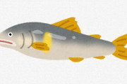 鮎って確かに旨いけど、海の魚ほど脂乗っていないよな？