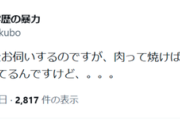【疑問】九大卒アイドル「あのー、肉って焼けば食べれる？賞味期限が1週間ほど切れてるんですけど」