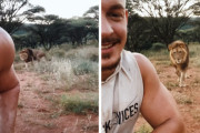 背後からひっそり近づいてくる猛獣。ライオンと心通わせた男性の遊びにヒヤヒヤ！