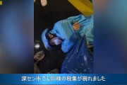 【中国】人民が突然倒れる現象が頻発　上海地下鉄で老人が乗車中に突然死　配達業者も突然倒れ動けず　病院の医師も突然意識を失う