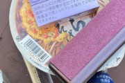 【悲報】腫れ物わい、今日も公園でぼっち飯（※画像あり）