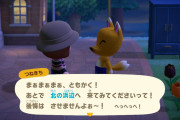 【たぐいのほのぼの島日記】つねきちの船に初乗船！博物館とタヌキ商店の新装開店も【あつ森】