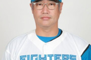 次の日ハムの監督って普通に木田でいいよな