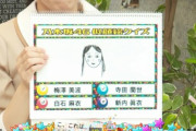 【乃木坂46】向井葉月さん、やらかす・・・・